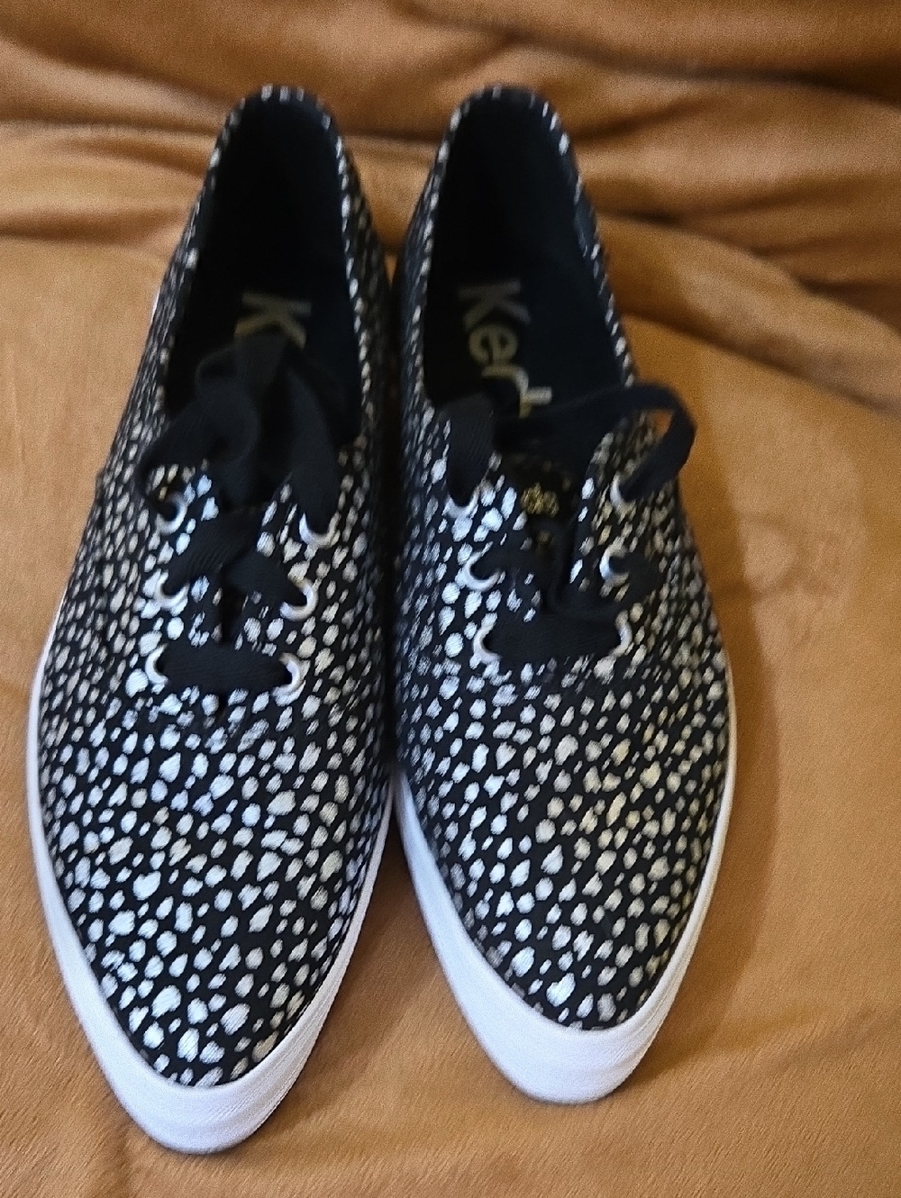 Keds Point Canvas Mini Dot Print Lace Up New Women 9